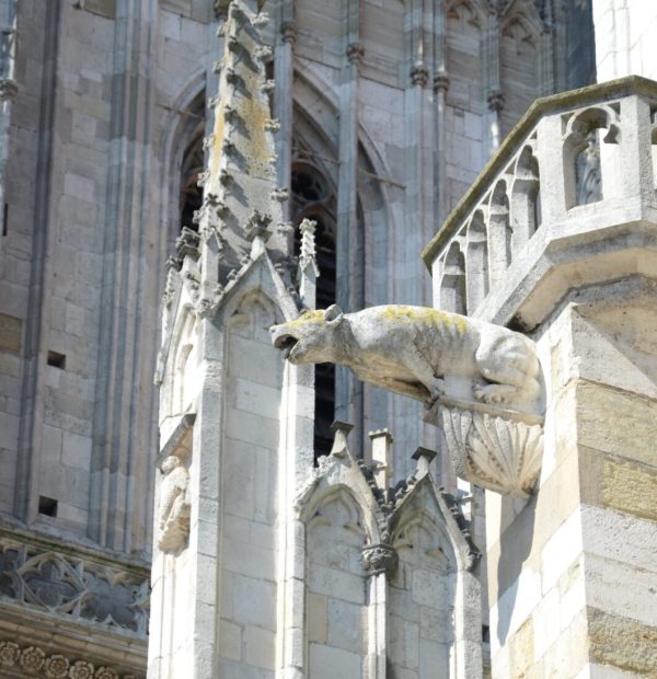 Stadtführung Mittelalter Bild 2